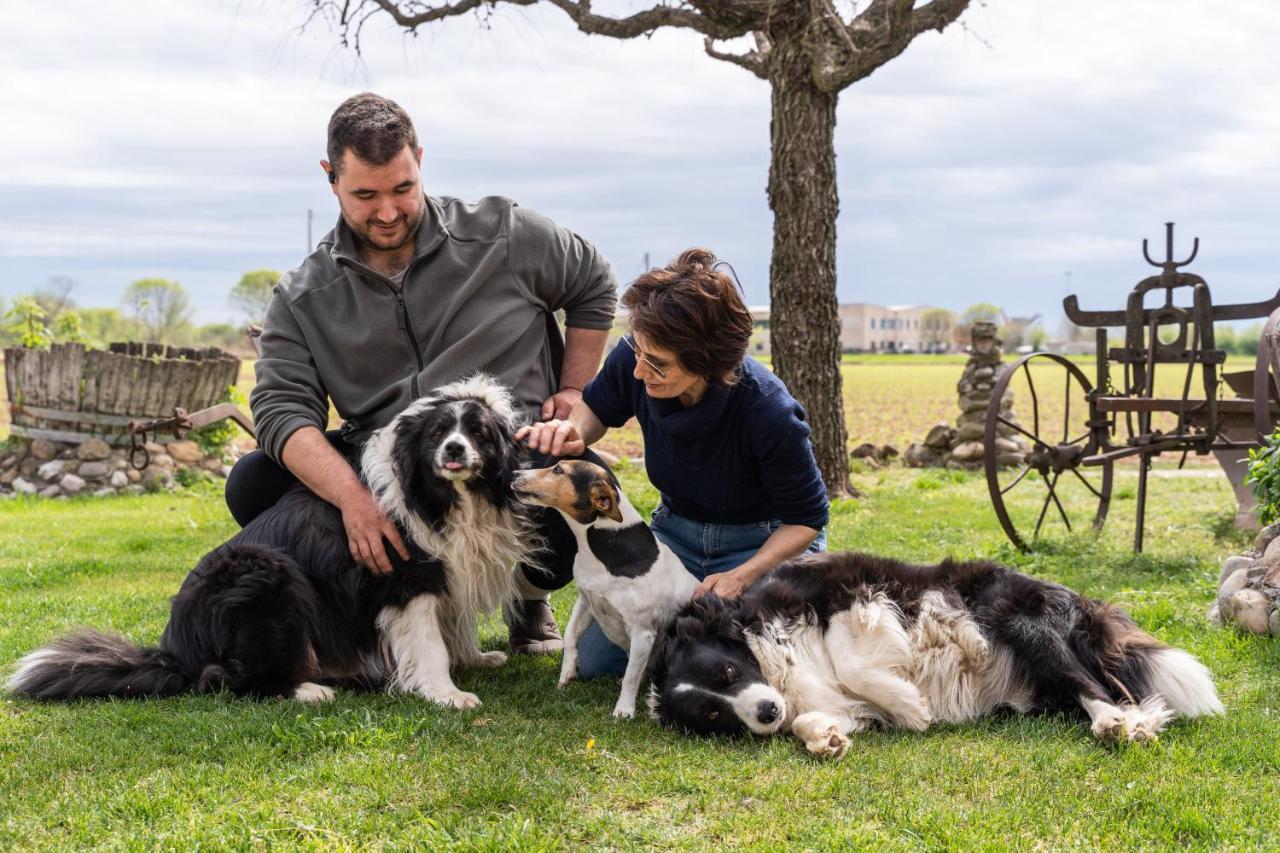 Agriturismo Pozzo Fiorito Castiglione Delle Stiviere Buitenkant foto